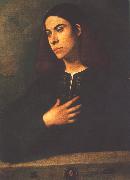 Portrait of a Youth (Antonio Broccardo) dsdg Giorgione