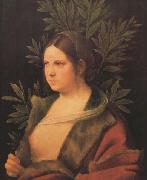 Laura (MK45) Giorgione