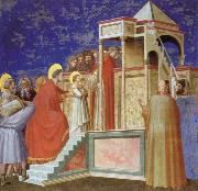 Presentation of the VIrgin ar the Temple Giotto